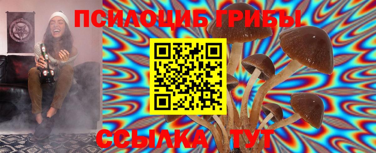 Галлюциногенные грибы Magic Shrooms Владивосток