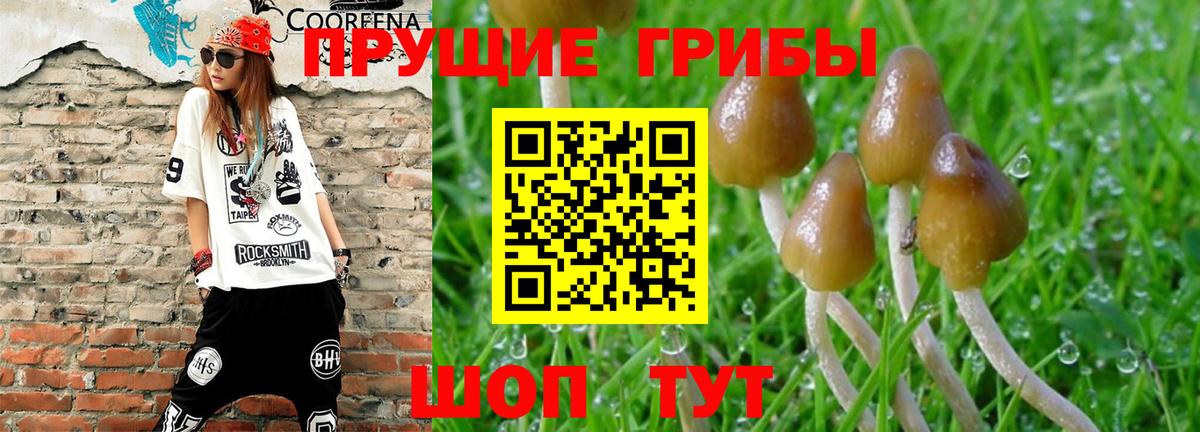 Галлюциногенные грибы GOLDEN TEACHER  Вход с VPN  Владивосток 